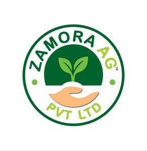 whatsapp image 2025 08 11 at 1.23.43 pm